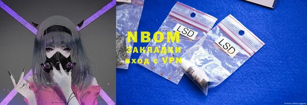 стафф Алексин