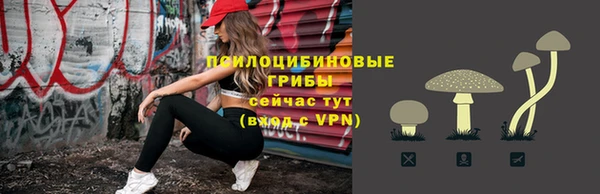 стафф Алексин
