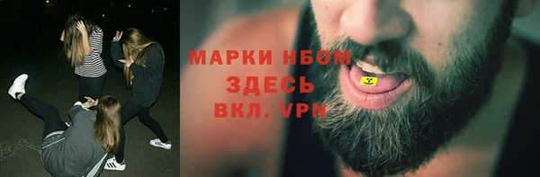 стафф Алексин