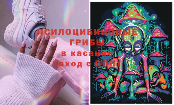 СК Алзамай
