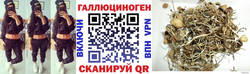 Псилоцибиновые грибы Psilocybine cubensis  что такое   Кемерово 